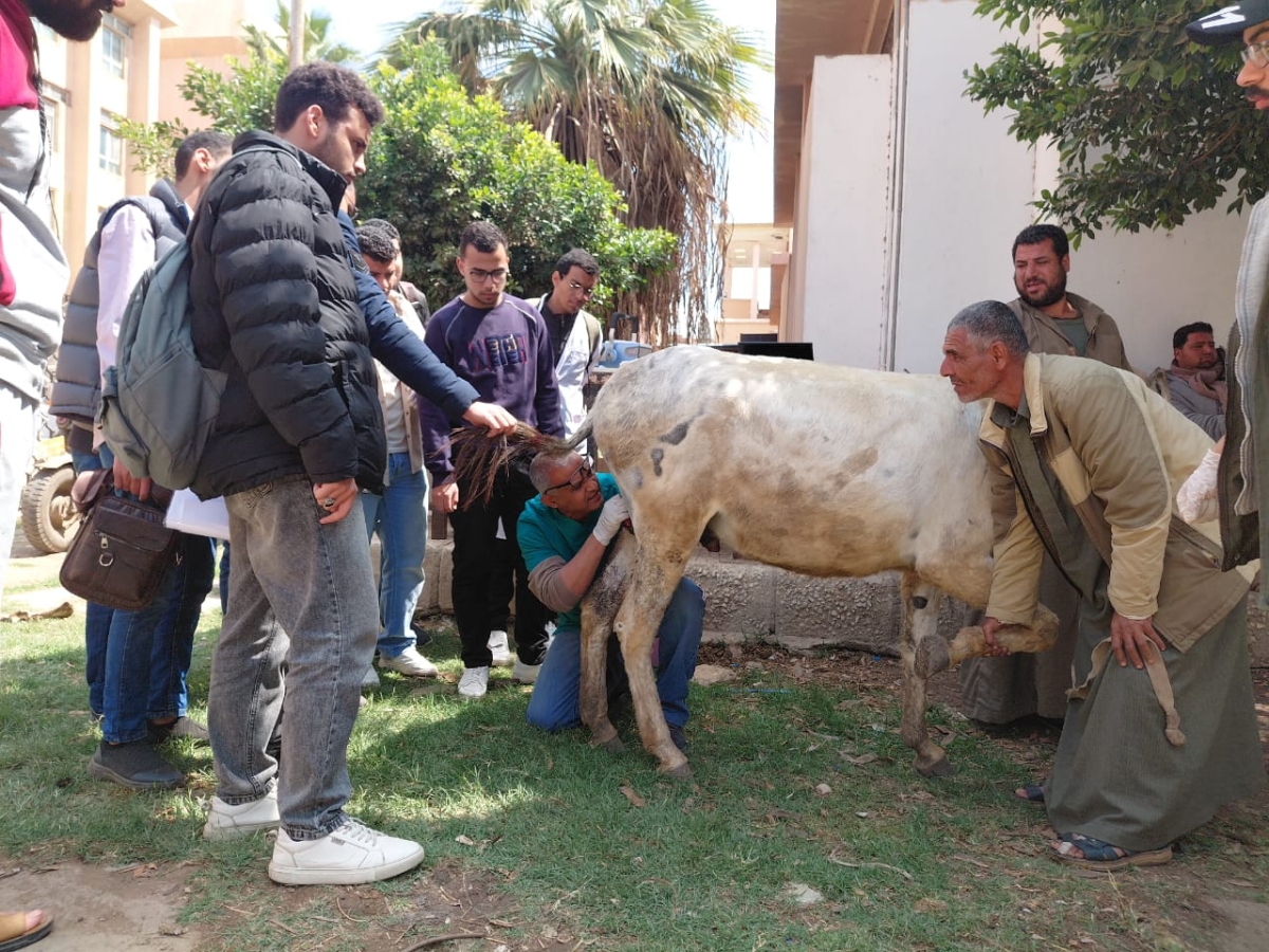 Faculty of Veterinary Medicine Hosts Veterinary Awareness and Training Convoy in Collaboration with the Egyptian Bridge Foundation