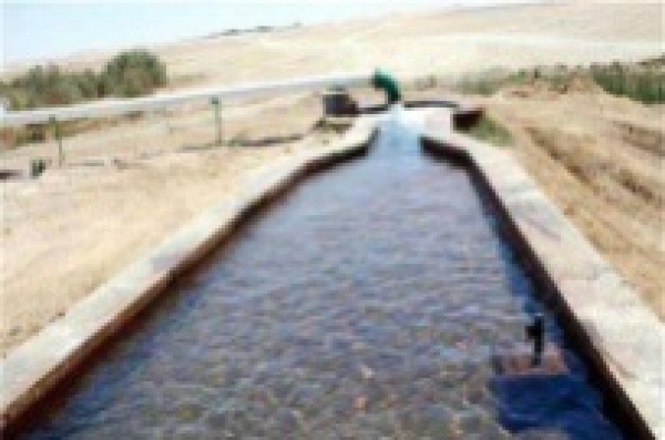 A study conducted about the assessment and the usage of the underground water at EL-Beda valley in EL-Ein EL-Shohknav